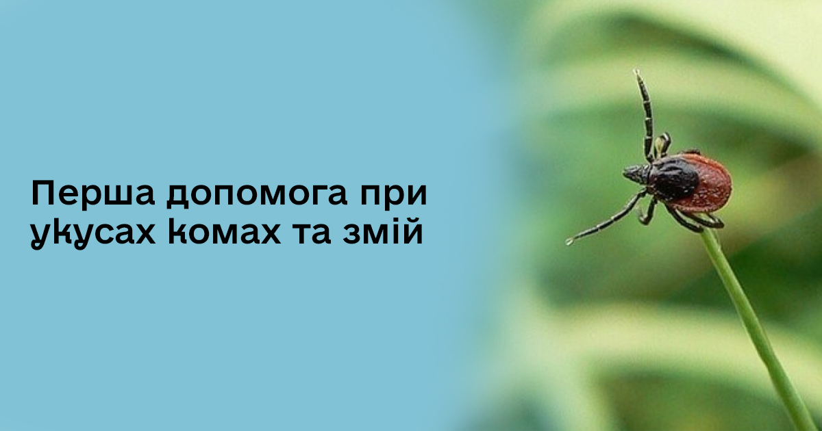 Перша допомога при укусах комах та змій: покроковий алгоритм та головні помилки